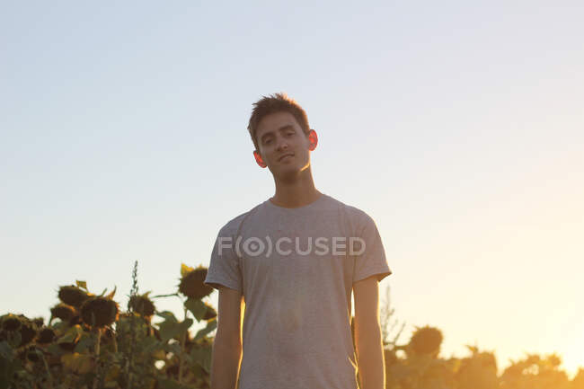 Молодий хлопчик в полі соняшників на заході сонця — стокове фото