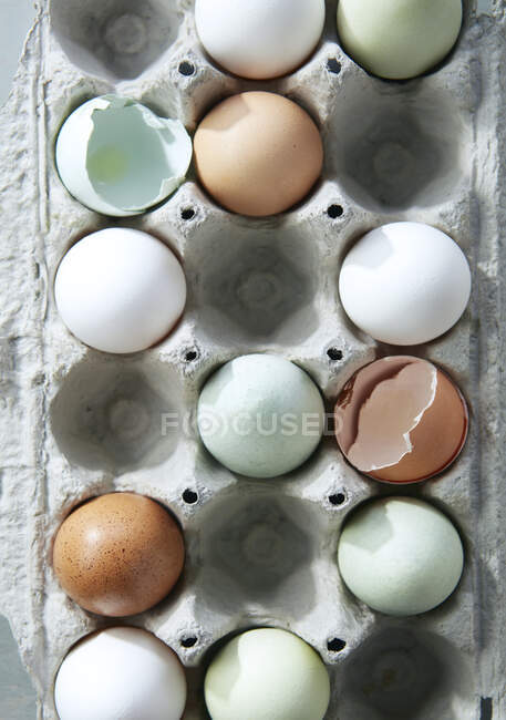 Carton of Organic Free Range Eggs Birds Eye View — Stock Photo