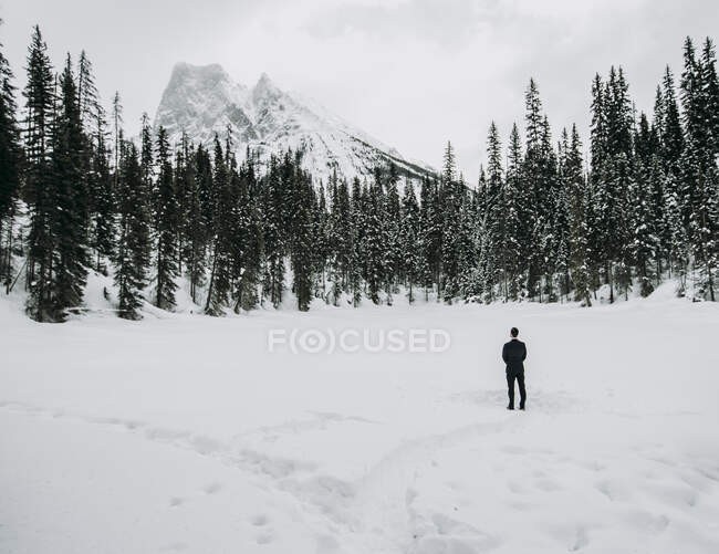 Lone man in suit stands alone on snow covered lake with mountains — Stock Photo