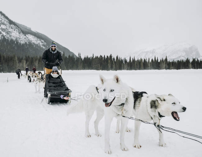 Пара сидить у собачому слінгу на чолі з собаками на замерзлому озері взимку — стокове фото