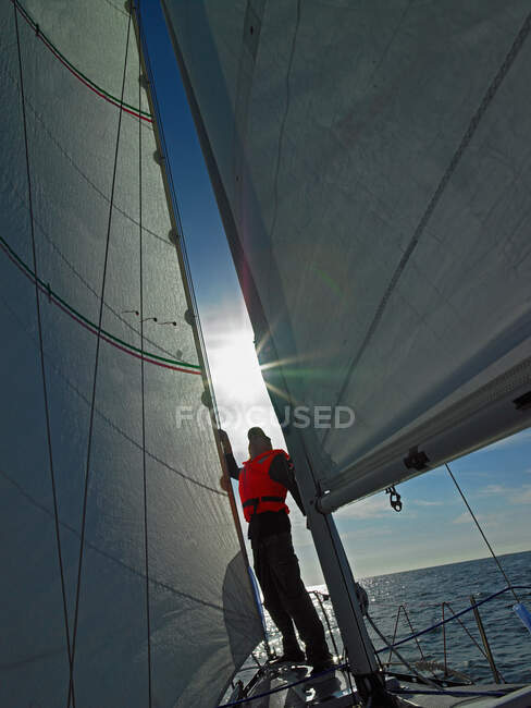 Man checking on his spinnaker sail while sailing in Iceland — Stock Photo