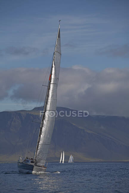Velero inclinado en el viento cerca de Reykjavik - foto de stock