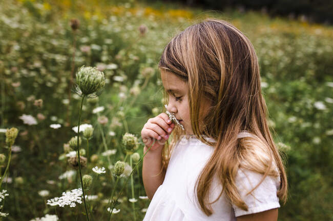 Mädchen riecht Blumen im Feld — Stockfoto