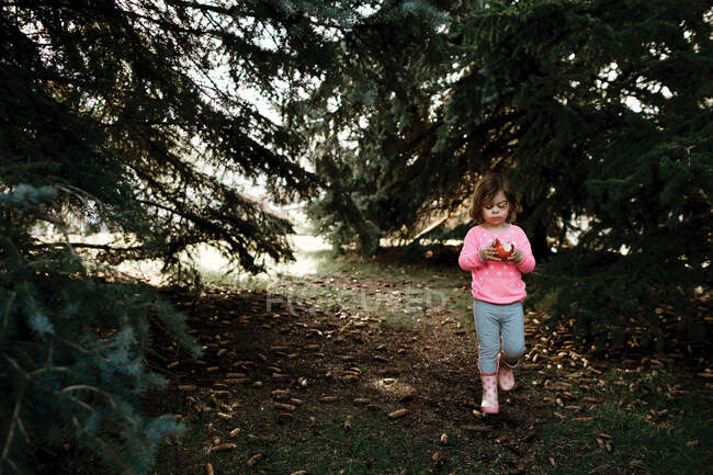 Young girl eating a red apple walking through a row of pine trees — Stock Photo