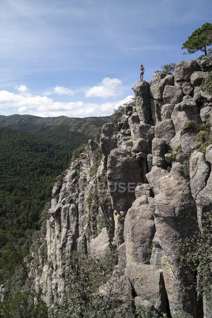 Una mujer de pie sobre una alta formación rocosa observando el paisaje - foto de stock