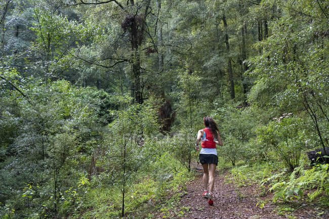 One woman seen from behind running on a trail in a dense forest — Stock Photo