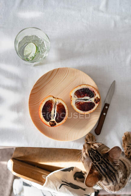 Две половинки красного апельсина на деревянной тарелке, которую пытается украсть бенгальский кот — стоковое фото