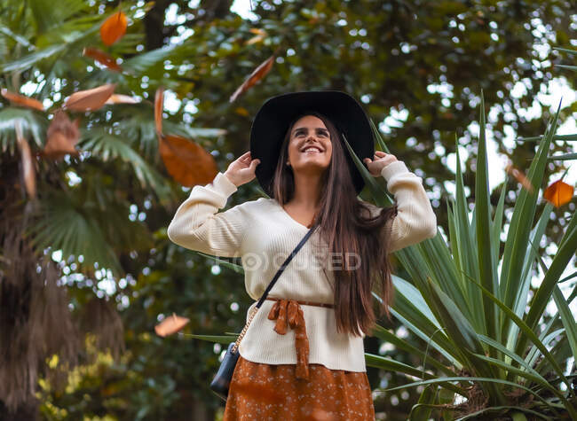 A young brunette in a fall photo session with falling tree leaves — Stock Photo