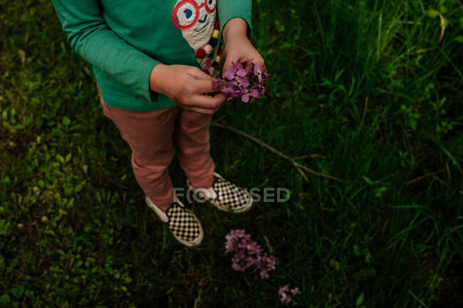 Faceless image of young girl playing with purple flowers — Stock Photo