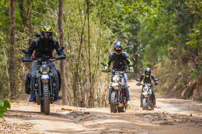 Tres amigos montando sus motocicletas scrambler a través de Forrest - foto de stock