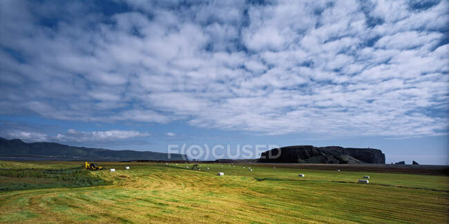 Campo agrícola bajo el acantilado de Dyrhlaey en el sur de Islandia - foto de stock