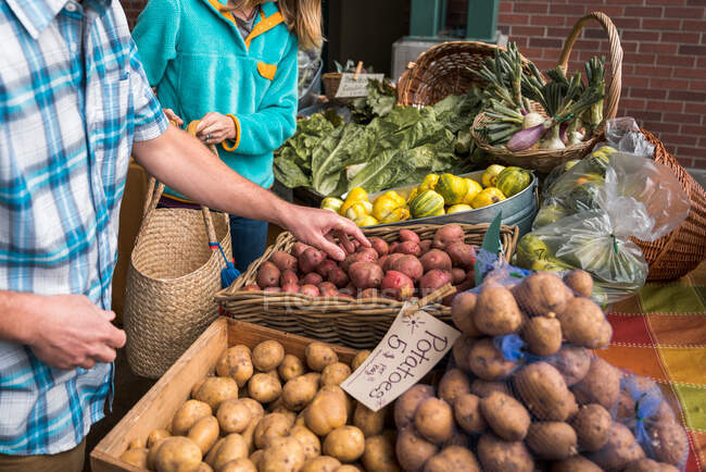 Mann und Frau sammeln Kartoffeln auf Bauernmarkt — Stockfoto