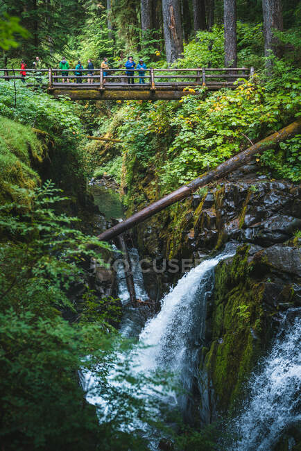 Front view of group on bridge viewing a waterfall — Stock Photo