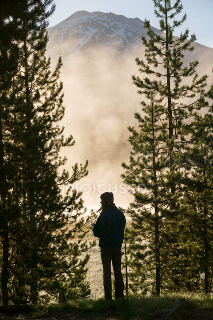 Силует жінки дивиться на гору, вкриту туманом — стокове фото