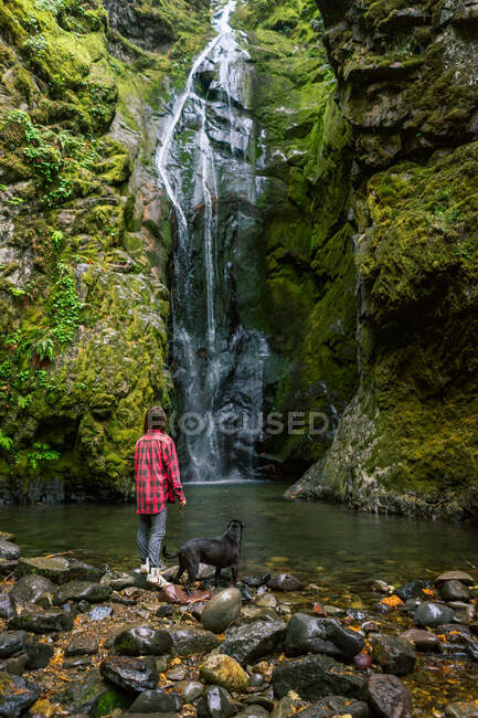 Junge Frau in Flanell mit Hund schaut auf Wasserfall — Stockfoto