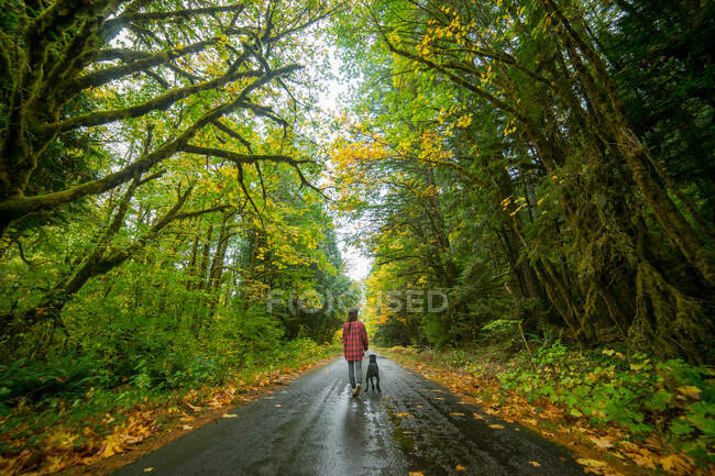 Jeune femme marchant avec un chien sur une route dans une forêt dense — Photo de stock