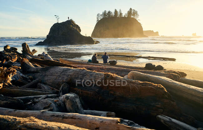 Pareja sentada en troncos en la playa al atardecer en Washington - foto de stock