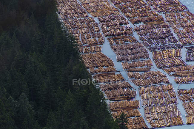 Madera maderera flotando en el agua junto al bosque en el Canadá escamoso - foto de stock