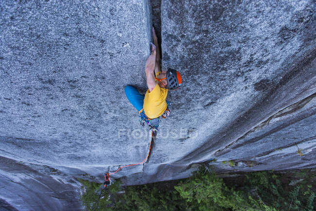 Giovane che si arrampica sulla roccia nella foresta — Foto stock