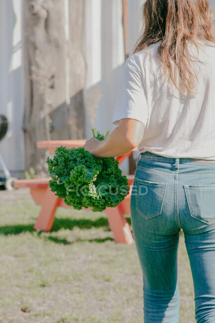 Joven mujer sostiene un nuevo manojo de col rizada, recogido de Brooklyn granja - foto de stock