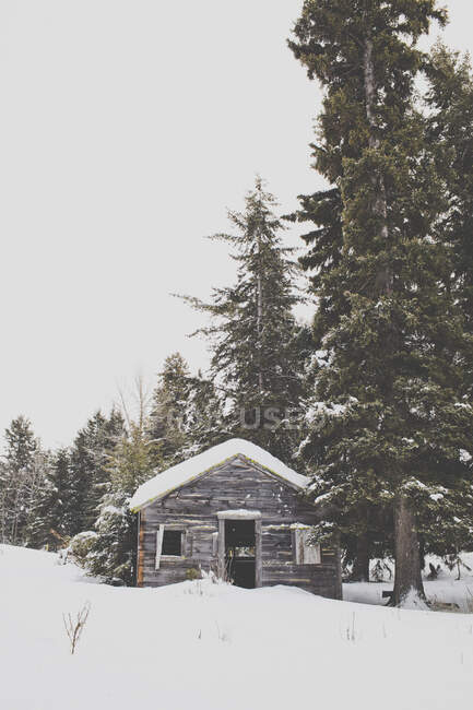 Neve coberta velha cabine de caçadores de madeira na floresta. — Fotografia de Stock