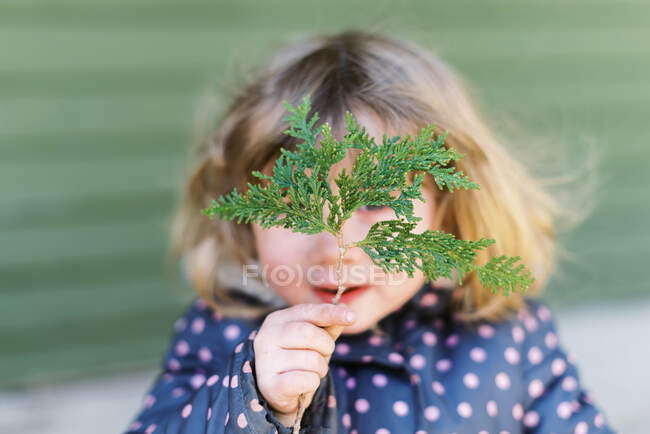 Menina pequena escondendo-se atrás de um galho arborvitae. — Fotografia de Stock