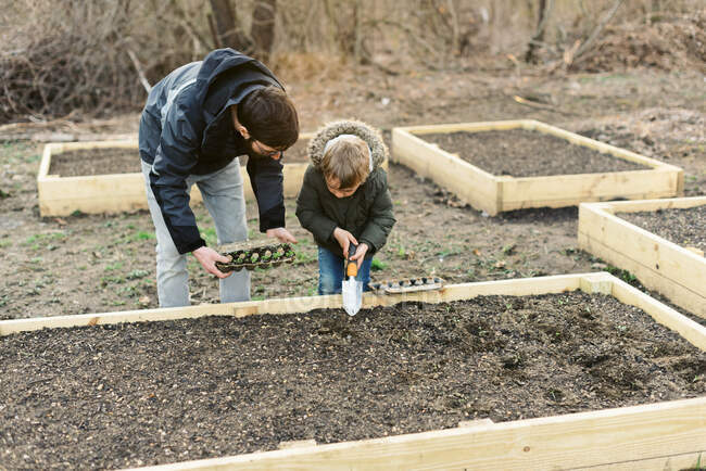 A man planting seedlings in early spring with his son. — Stock Photo