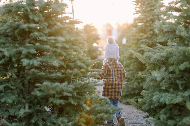 Giovane ragazzo che cammina tra gli alberi di Natale al tramonto — Foto stock