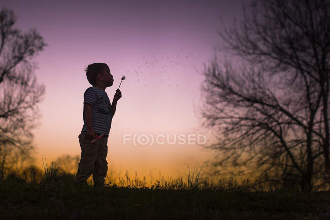 Petit garçon soufflant silohette pissenlit chaud été nuit coucher de soleil arbres — Photo de stock