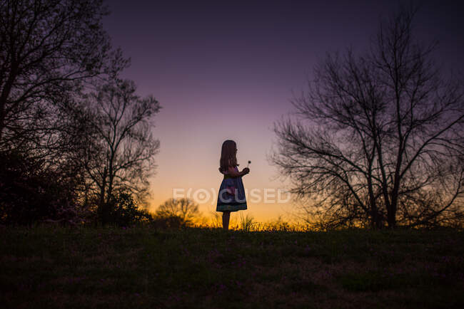 Petite fille tenant silohette fleur cheveux longs été soir coucher de soleil — Photo de stock