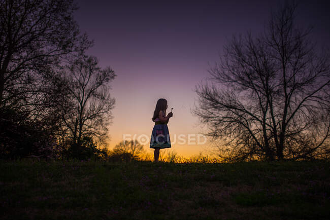 Menina segurando flor silohette cabelo longo verão noite pôr do sol — Fotografia de Stock