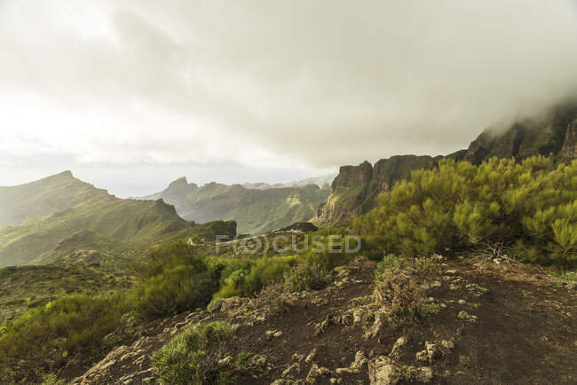 Masca, parte del parco nazionale El Teide a Tenerife — Foto stock