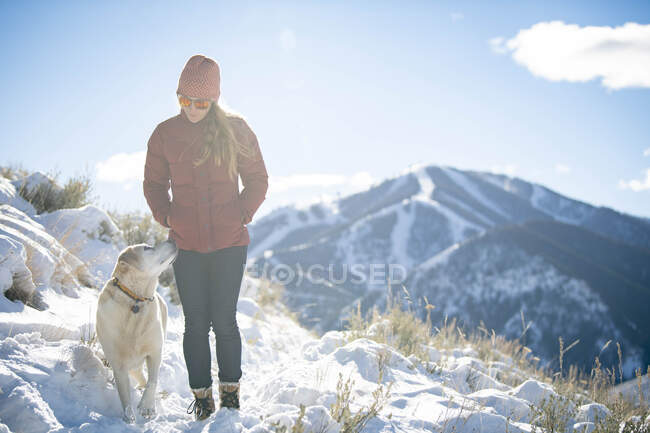 Une femme et son labo en promenade par une belle matinée d'hiver. — Photo de stock