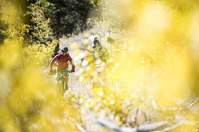 Uma mulher de bicicleta de montanha no outono. — Fotografia de Stock