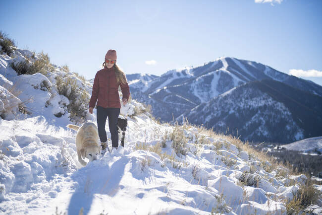 Eine Frau geht an einem schönen Wintermorgen mit ihren Hunden spazieren. — Stockfoto