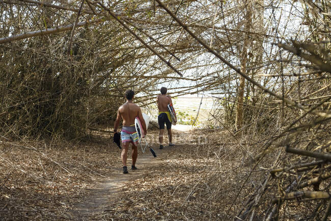 Homens com pranchas de surf andando na floresta de bambu — Fotografia de Stock