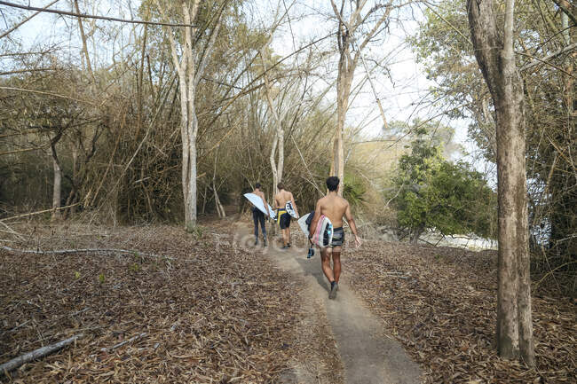 Homens com pranchas de surf andando na floresta de bambu — Fotografia de Stock
