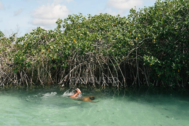 Человек ныряющий под воду в мангровой биосфере Шан-Каана — стоковое фото