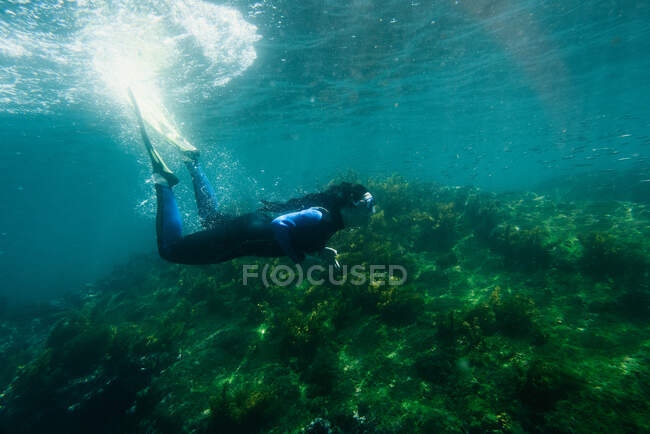 Молодая женщина ныряет с маской вдоль рифа Галапагосских островов — стоковое фото