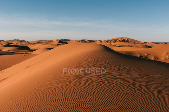 Beautiful view of dunes in the desert on nature background — Stock Photo