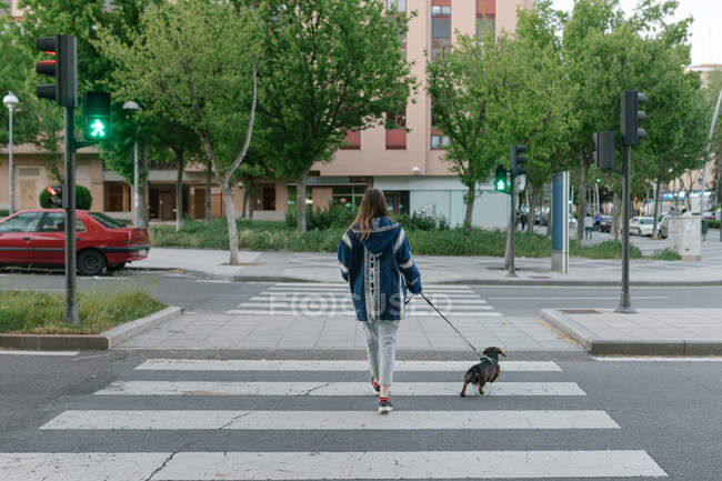 Young girl with dog in the city — Stock Photo