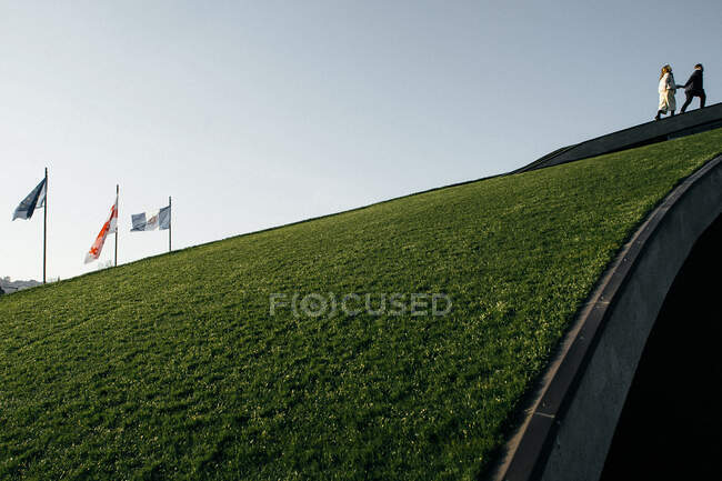 Couple amoureux au sommet de la colline de Tbilissi avec des drapeaux — Photo de stock