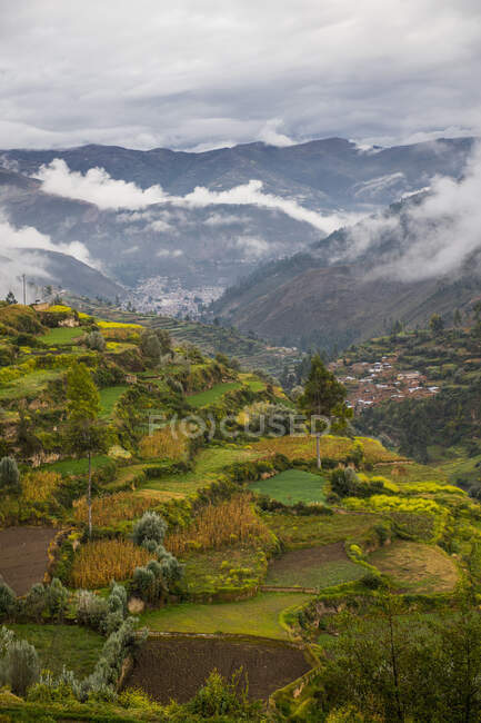 Terraced Fields, Перу, Южная Америка — стоковое фото