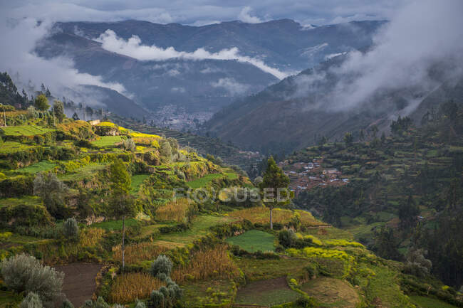 Landwirtschaft, Terrassenfelder, Peru, High Angle View — Stockfoto