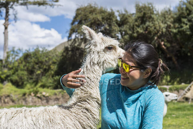 Жінка обіймає альпаку (Куско, Перу, Південна Америка). — стокове фото