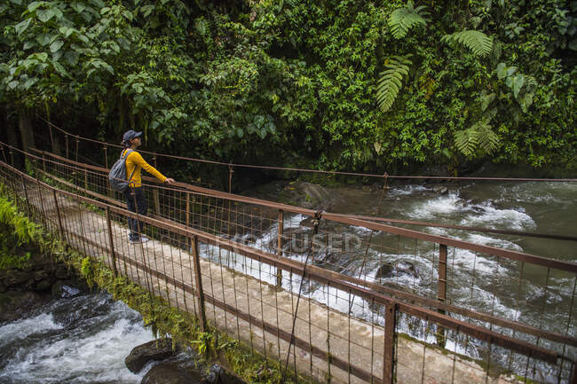 Woman hiking over a simple bridge at the rainforest in Mindo, Ecuador — Stock Photo