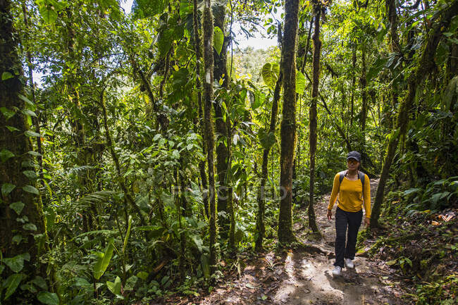 Donna che esplora la foresta pluviale a Mindo, Pichincha, Ecuador — Foto stock