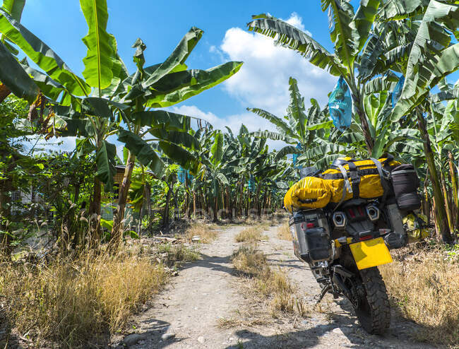Внедорожный мотоцикл на банановой плантации — стоковое фото