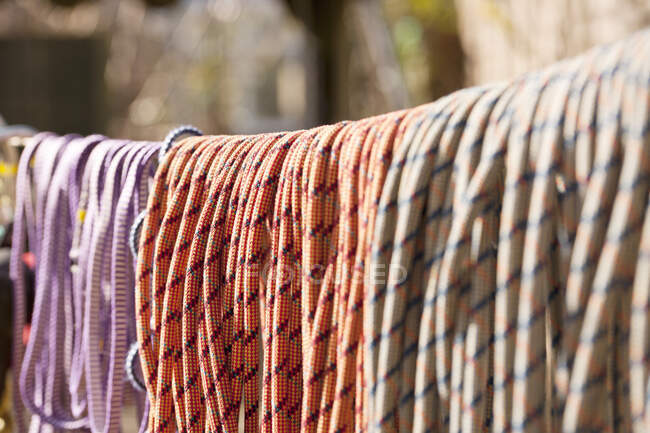 Equipamento de escalada pendurado até secar em uma linha de roupas — Fotografia de Stock