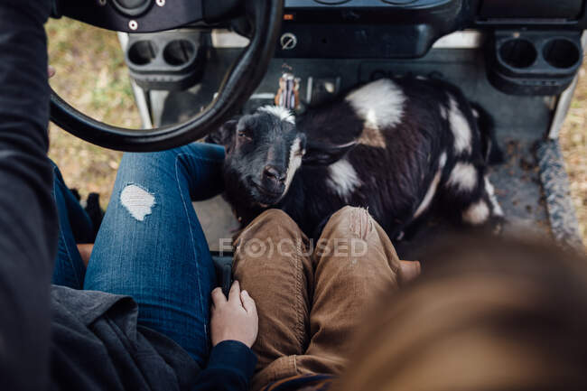 Enfants chevauchant une voiturette de golf avec une chèvre — Photo de stock